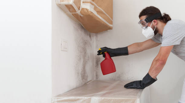 Professional Hvac And Air Duct Mold Remediation technician working in Alto, MI
